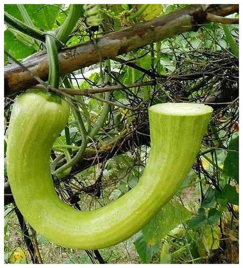 觉院吃瓜,揭秘娱乐圈背后的那些事儿