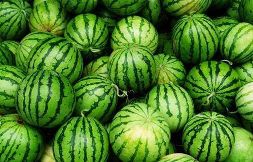 吃瓜四指,网络热词背后的文化现象