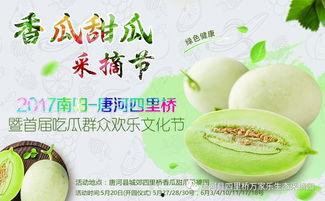 网红合集吃瓜,揭秘娱乐圈幕后故事