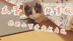 吃瓜纯享,揭秘娱乐圈幕后故事