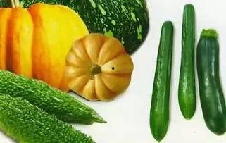 老六吃老瓜,一场别开生面的乡村趣事