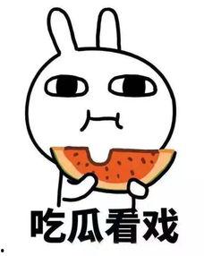 吃瓜头马,网络红人的崛起与影响力