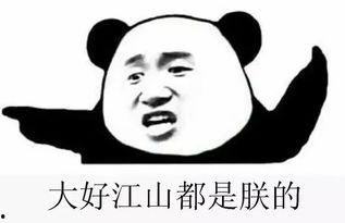 搞笑吃瓜群,欢乐日常，笑料百出