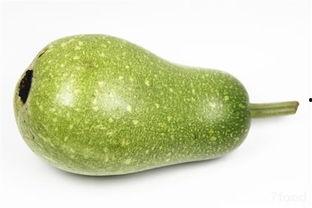 七月 吃瓜,一场别开生面的“吃瓜”盛宴