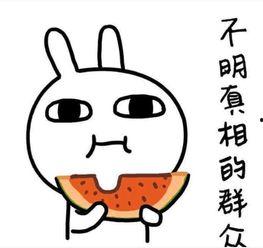 吃瓜词搞笑女文案,搞笑女文案带你领略欢乐盛宴