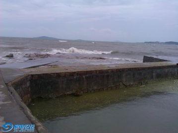 顶着台风吃瓜,他们依然淡定吃瓜的奇妙瞬间