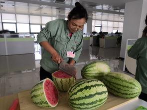 快乐的吃瓜驿站,揭秘娱乐圈的欢乐与泪水