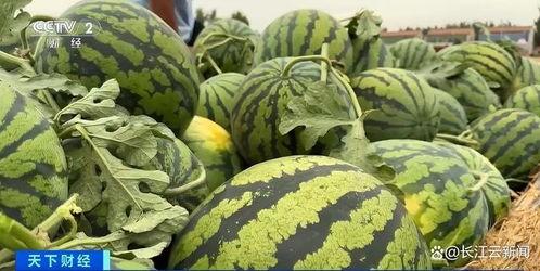 全网 吃瓜,揭秘“吃瓜”背后的网络现象与社交文化