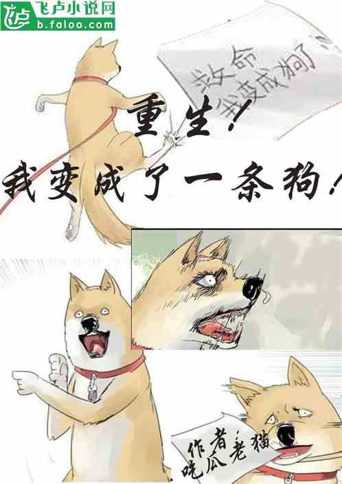 吃瓜科室小说,吃瓜科室里的悬疑风云