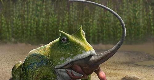 带你吃瓜奇葩恐龙,揭秘“带你吃瓜奇葩恐龙”的神秘面纱