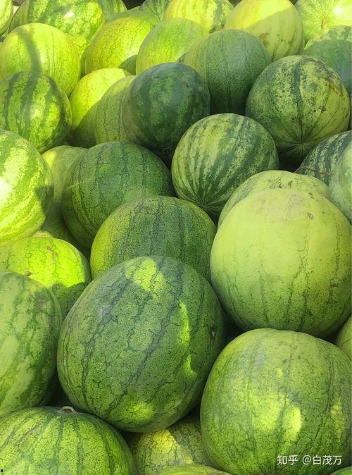 吃瓜比较准,揭秘娱乐圈幕后真相